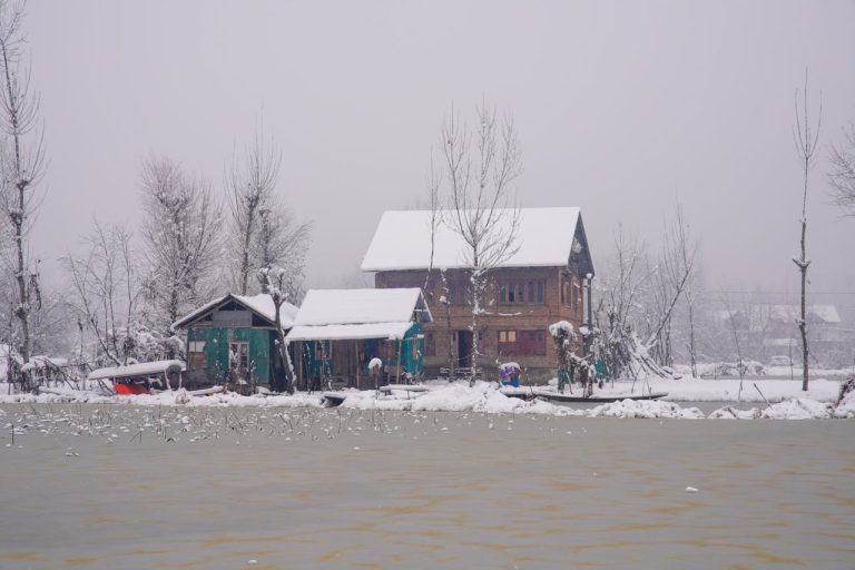 pexels-imadclicks-30093606