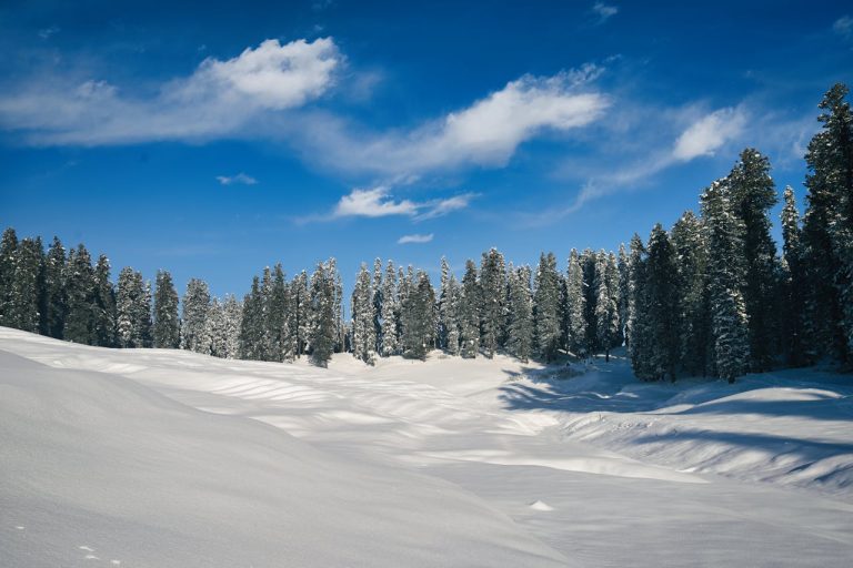 pexels-shah-faizan-2148371679-30077915